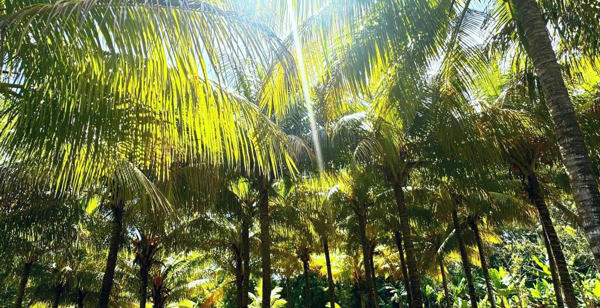 فندق Koa Riambel المظهر الخارجي الصورة